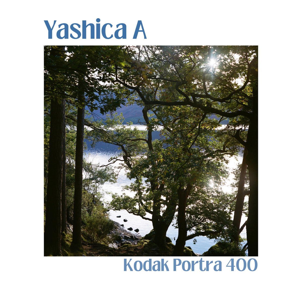 Yashica A - Black