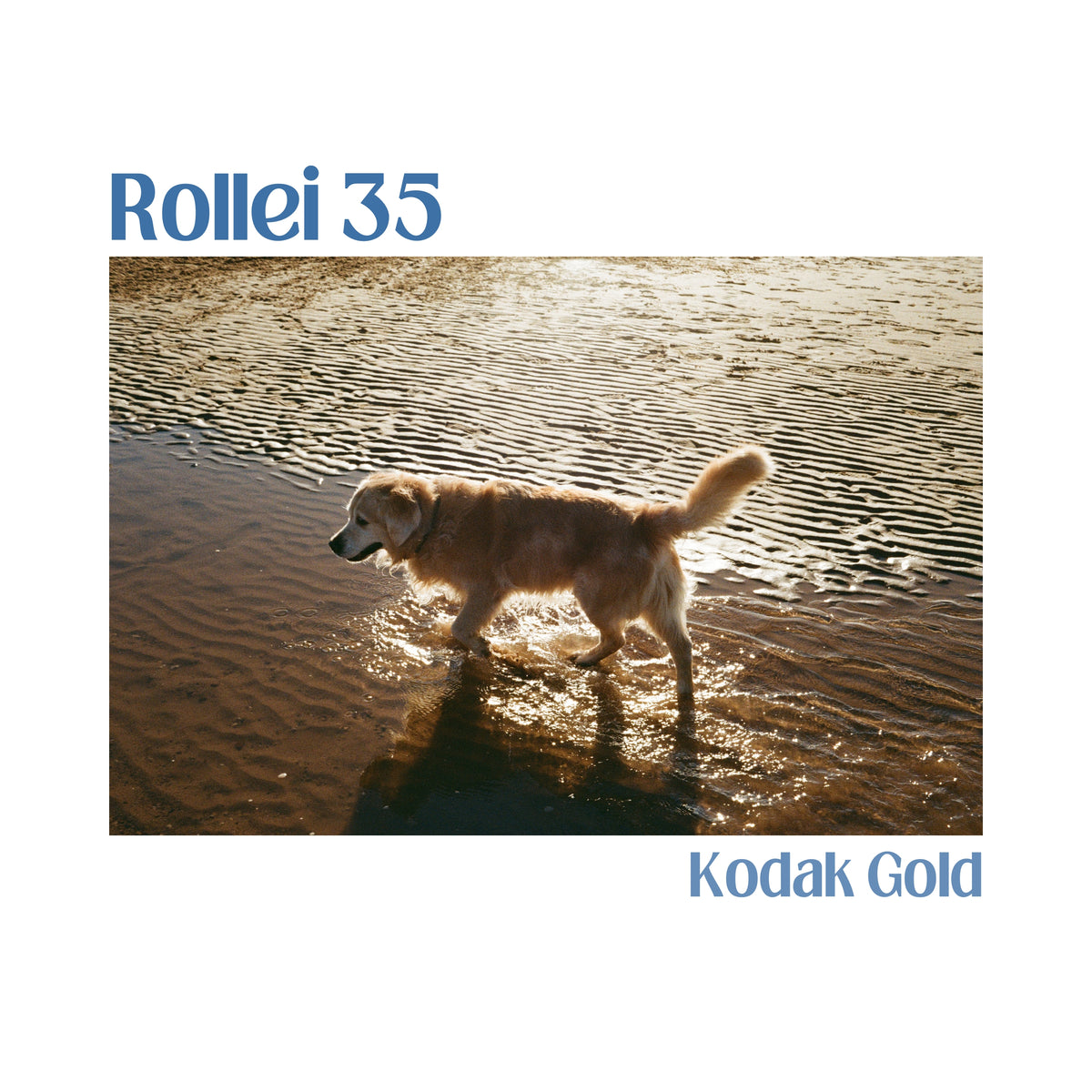 Rollei 35