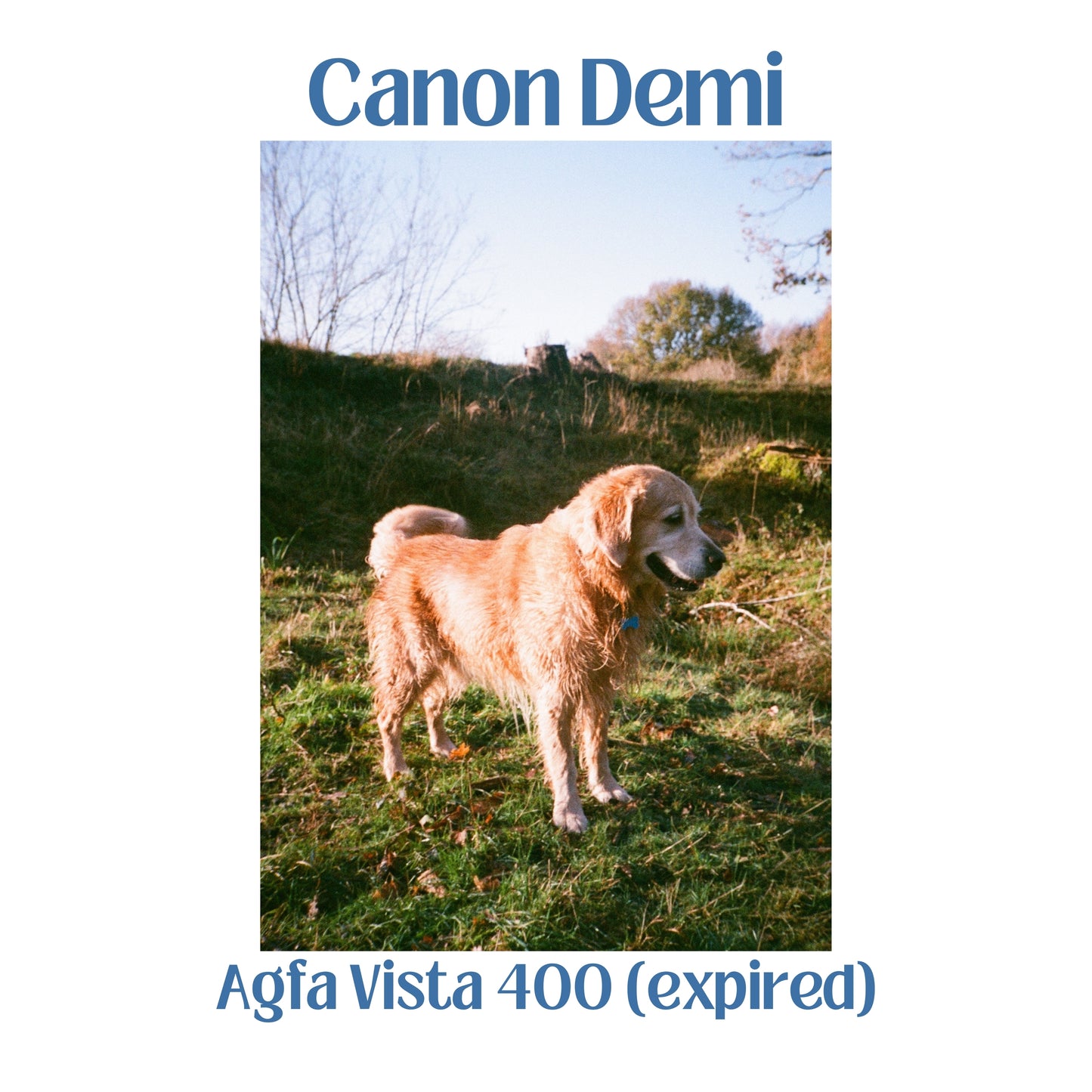 Canon Demi