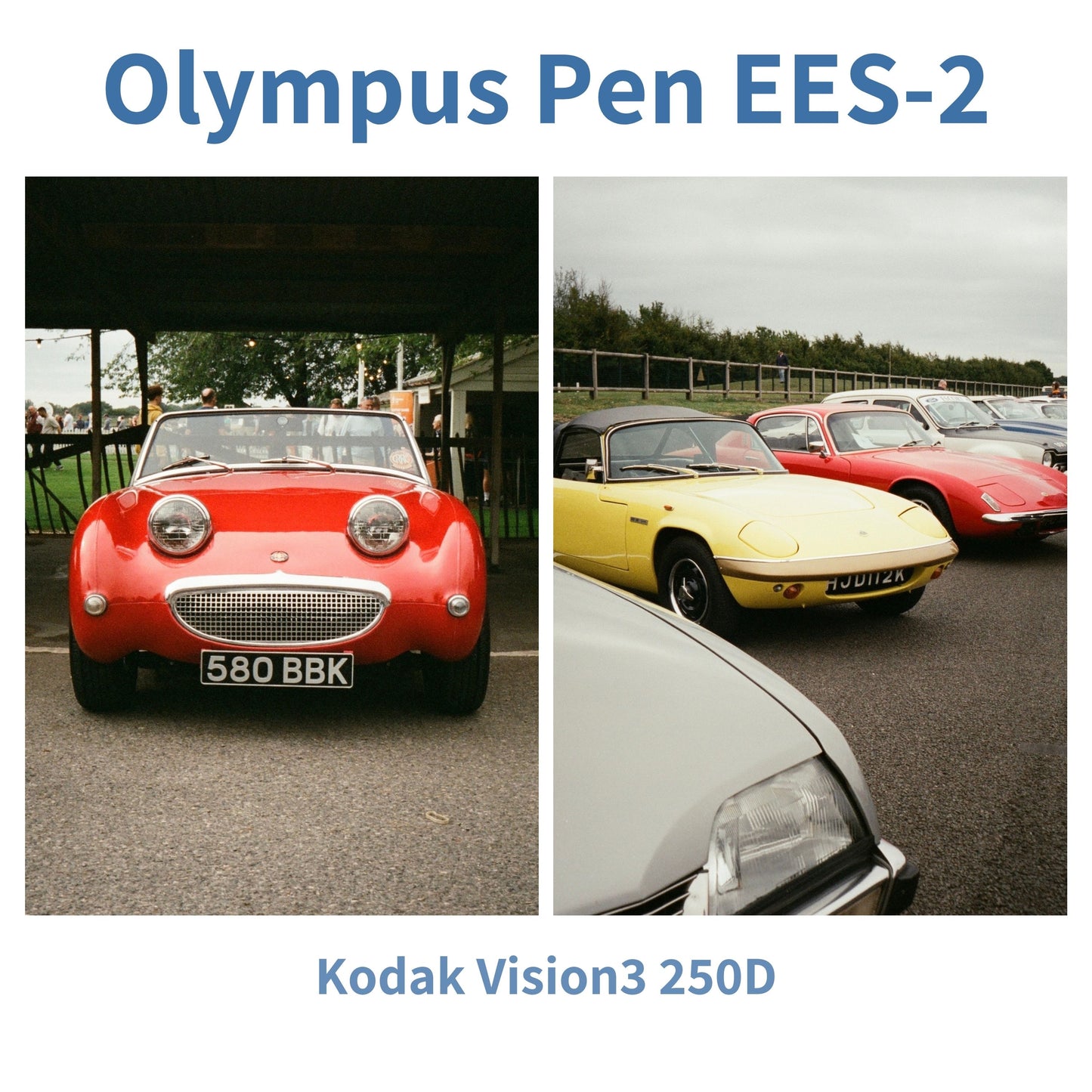 Olympus Pen EES-2 - Sage Green