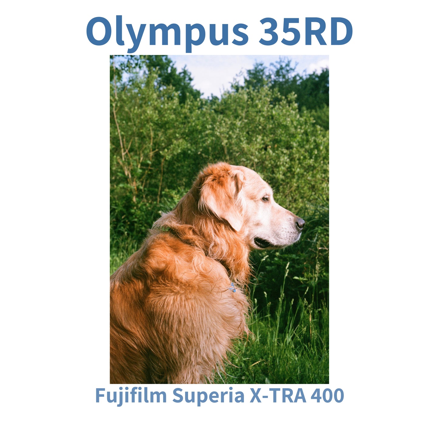Olympus 35RD - Black