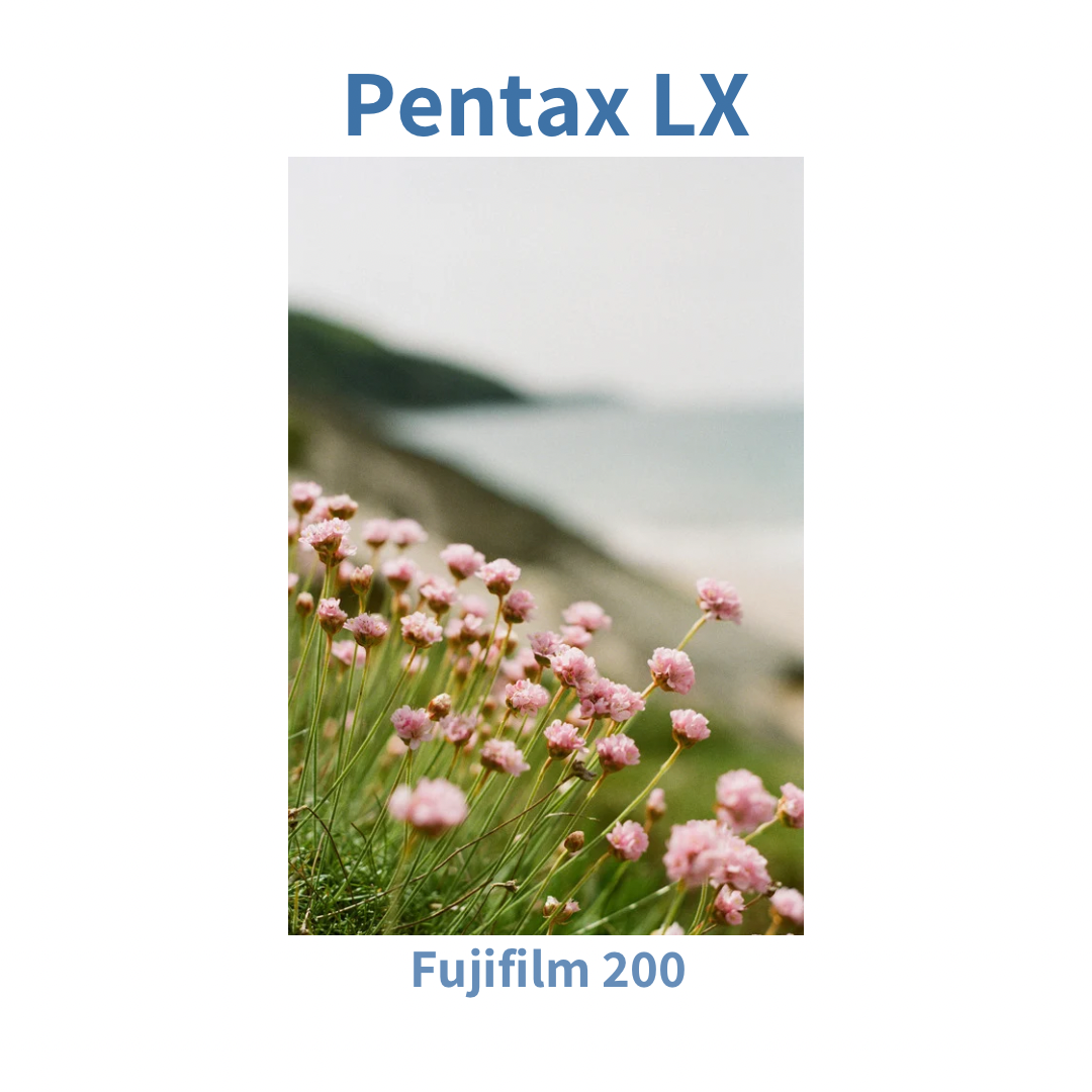 Pentax LX