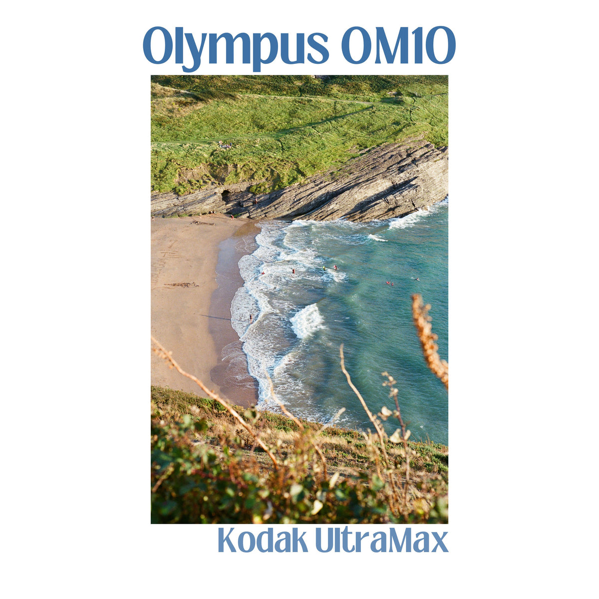 Olympus OM10 - Dark Blue