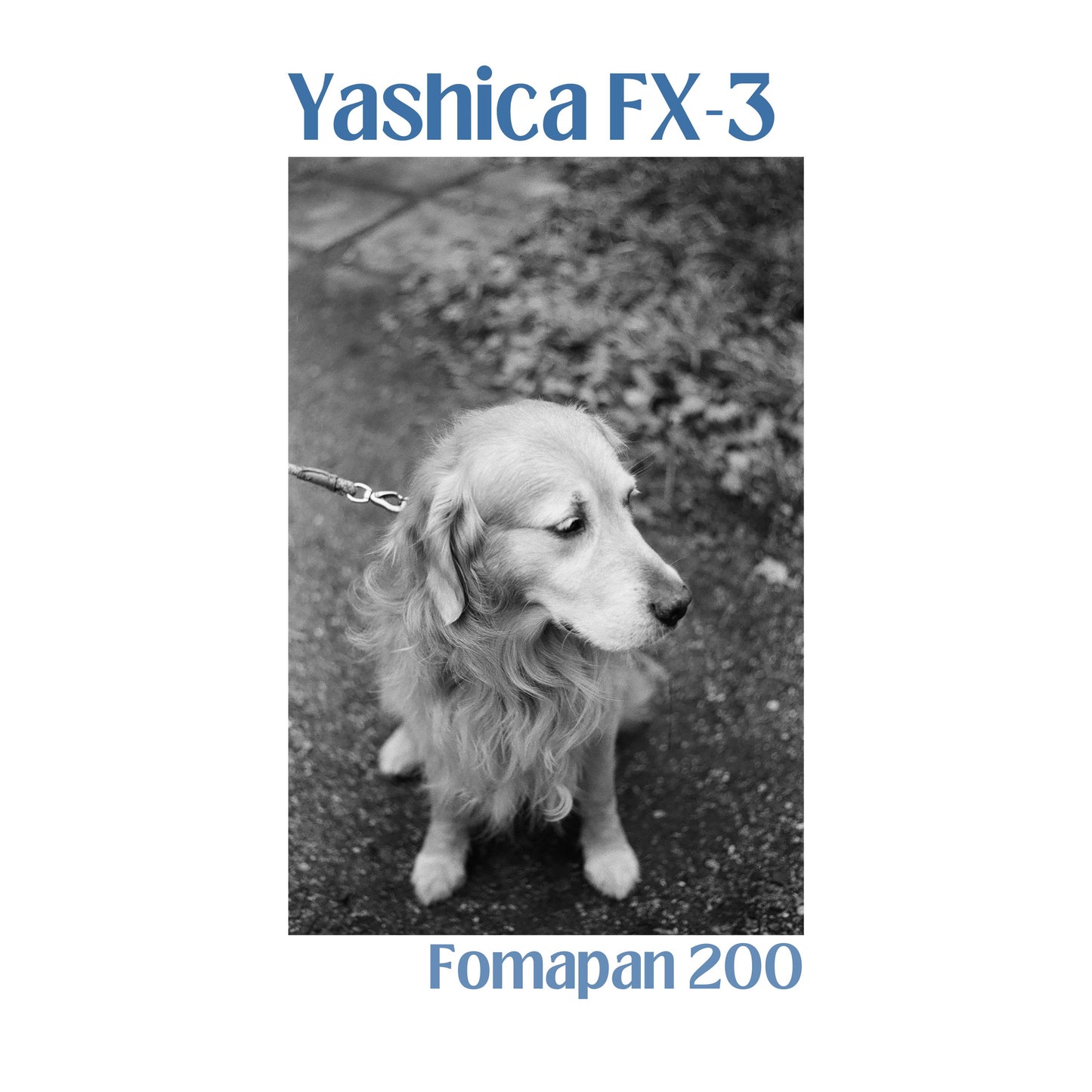 Yashica FX-3 - Black