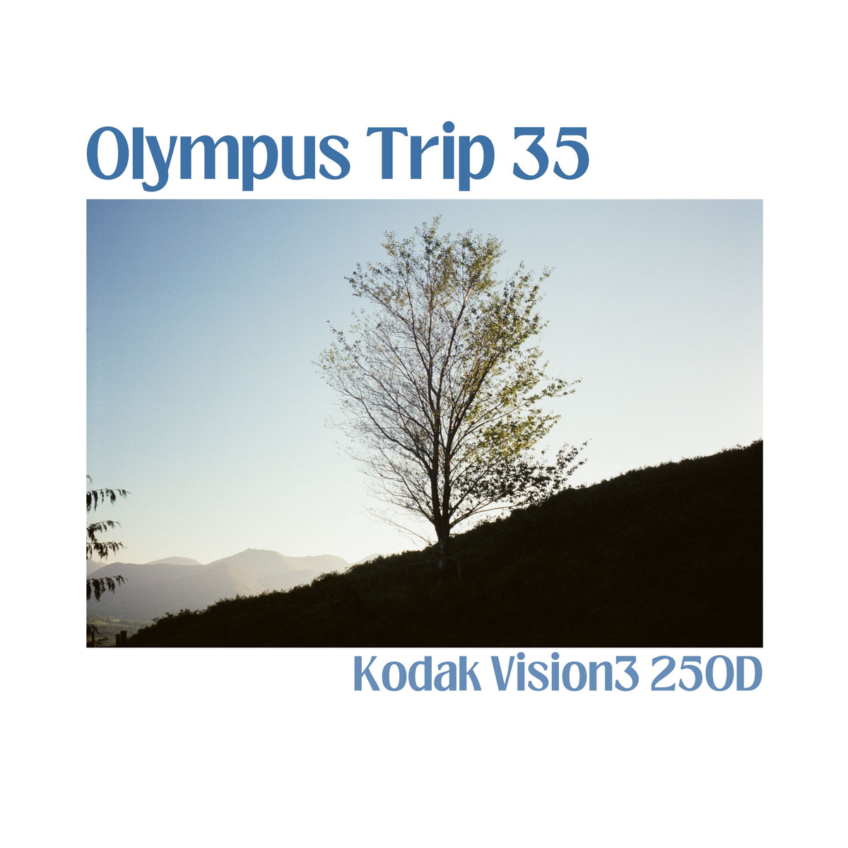 Olympus Trip 35 - Starter Kit