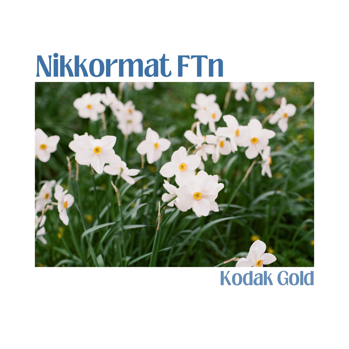 Nikkormat FTN with 50mm f/1.4
