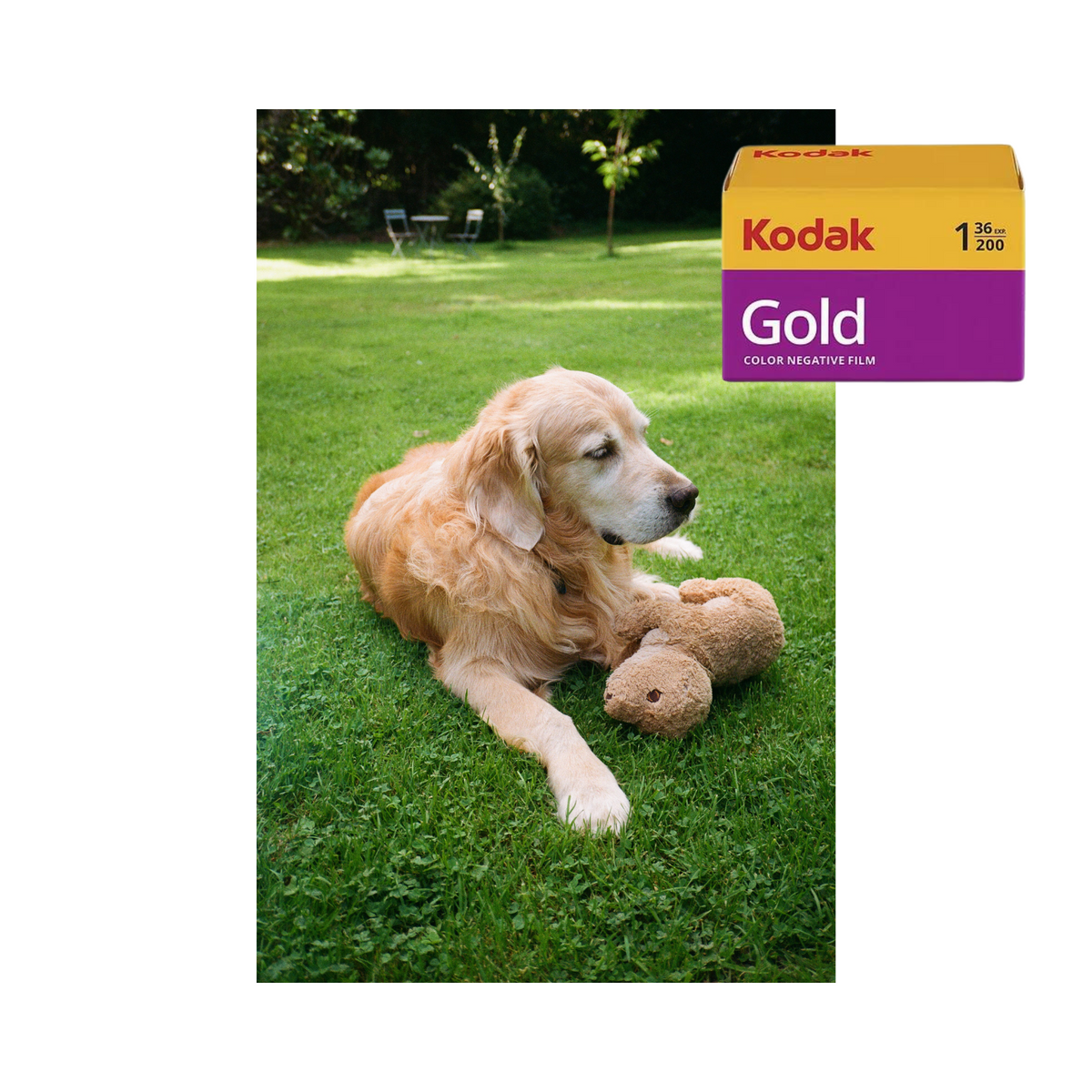 Kodak Gold 200 - 3 Pack - 35mm Film