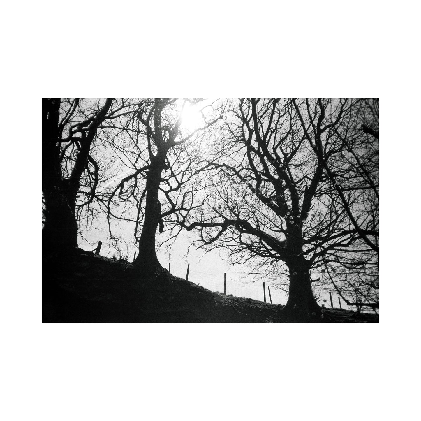 Kentmere Pan 400 - 35mm Film