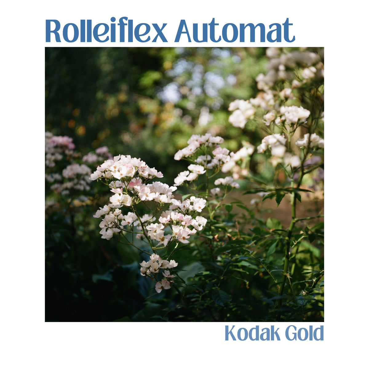 Rolleiflex Automat - Model 2