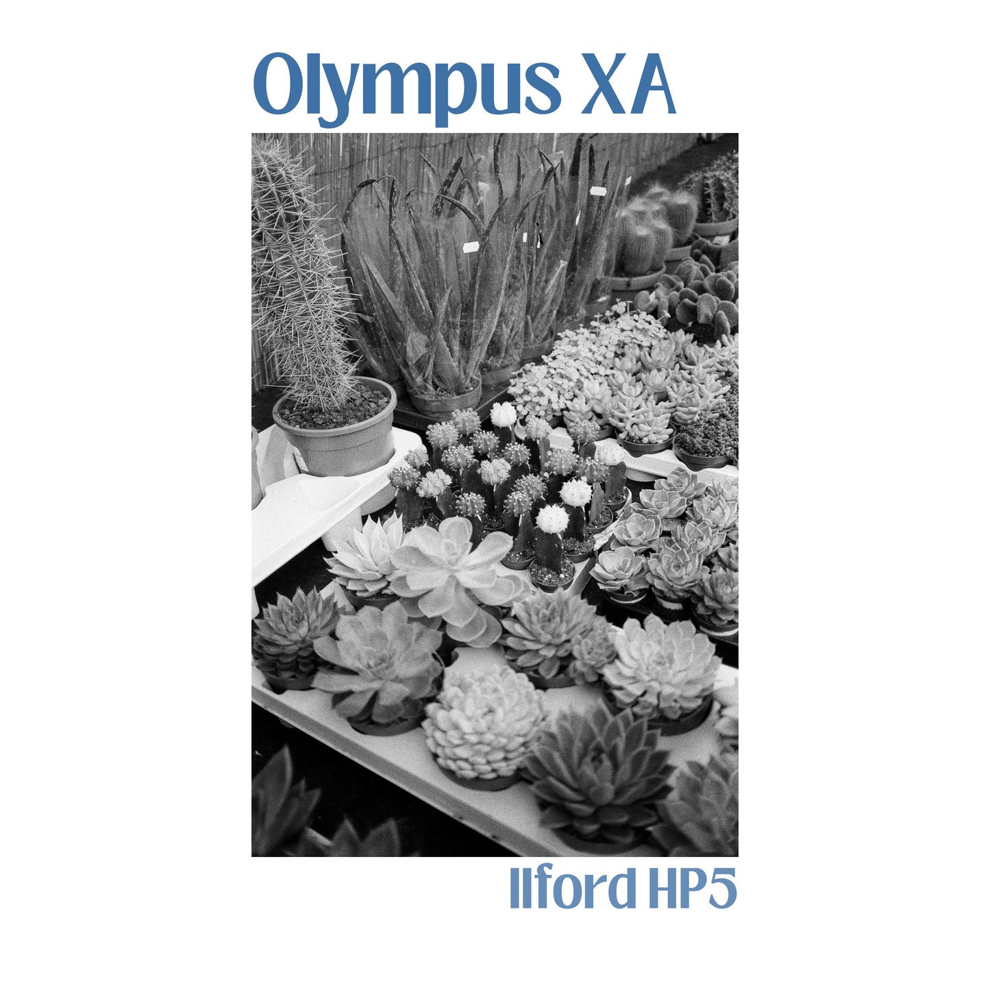 Olympus XA & A11 Flash