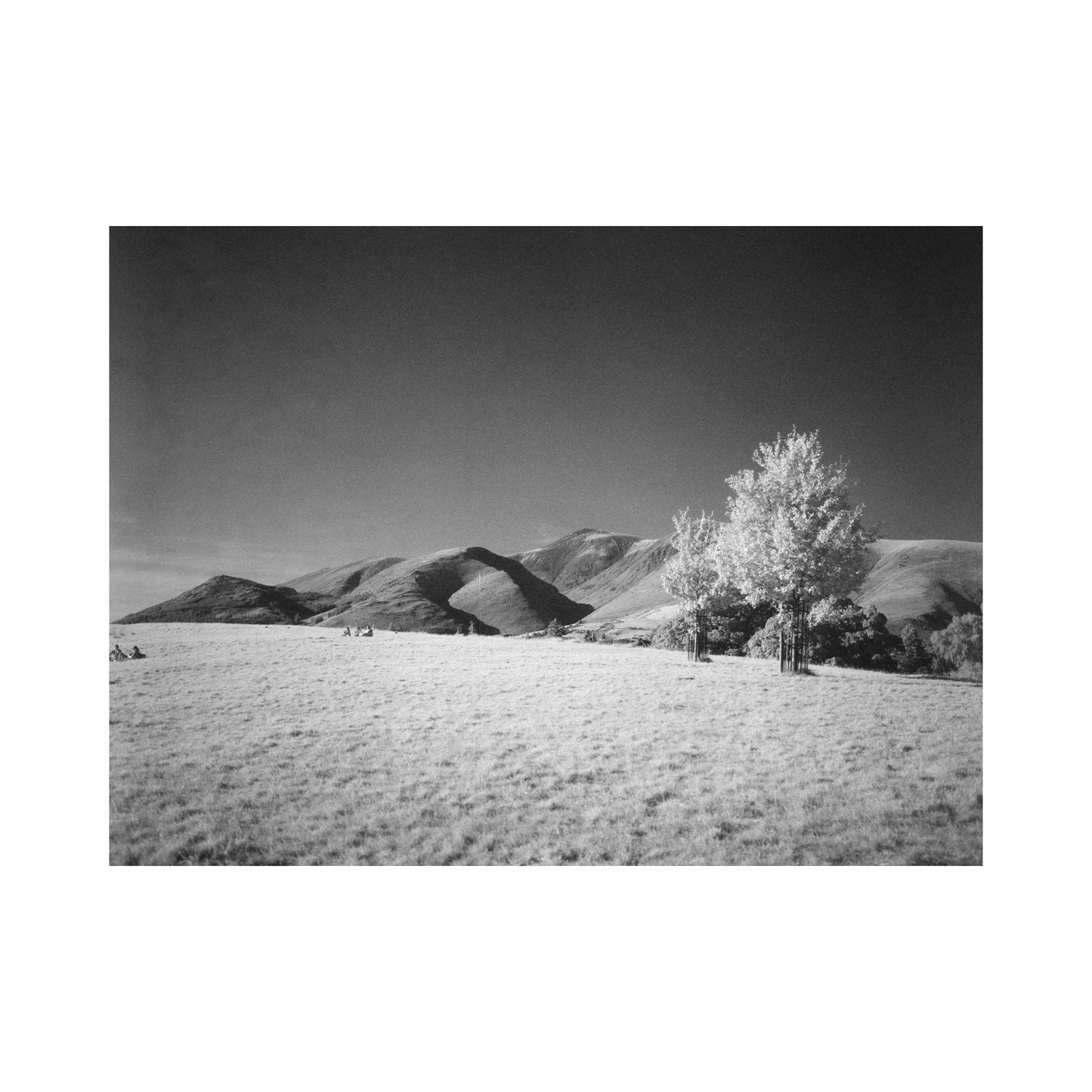 Ilford SFX 200 - 120 Film