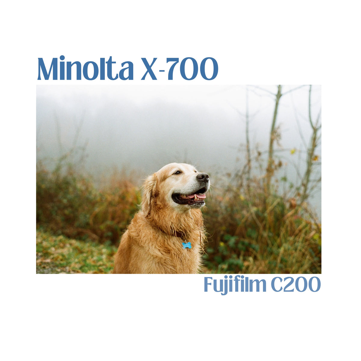 Minolta X-700
