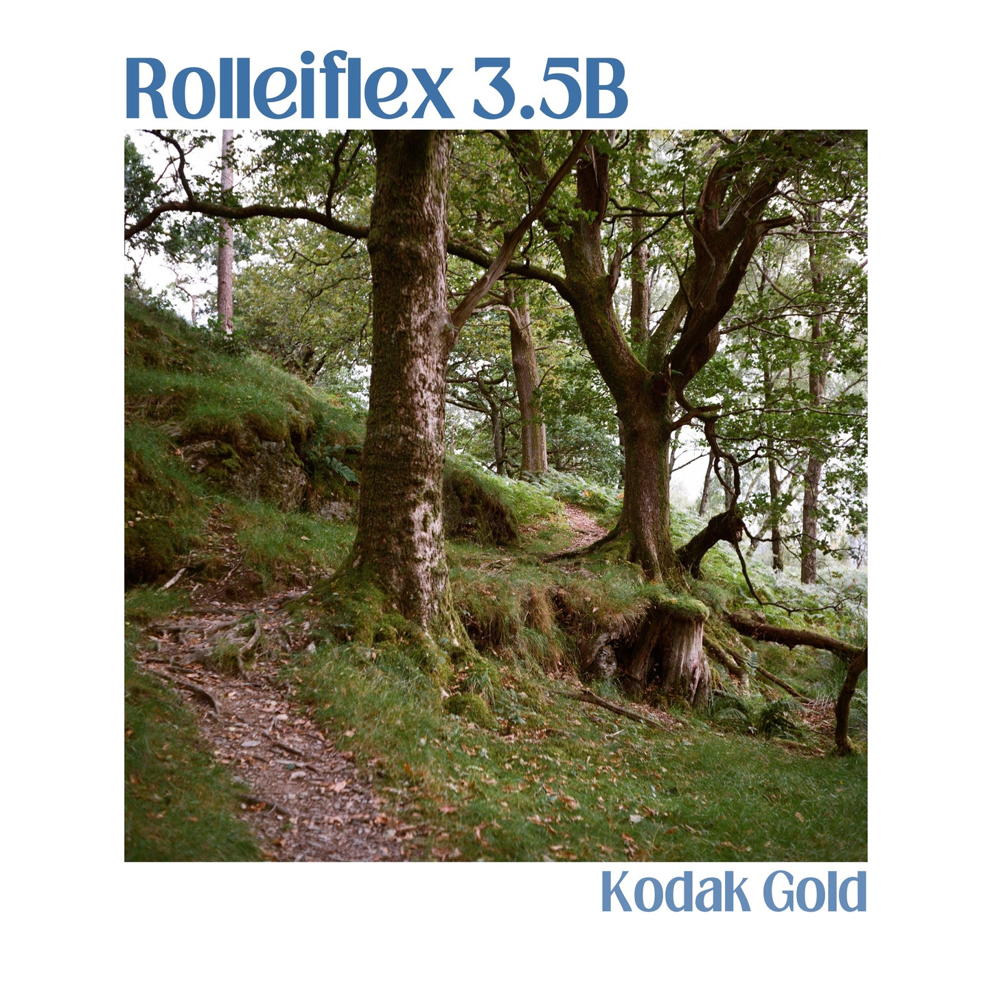 Rolleiflex 3.5 B