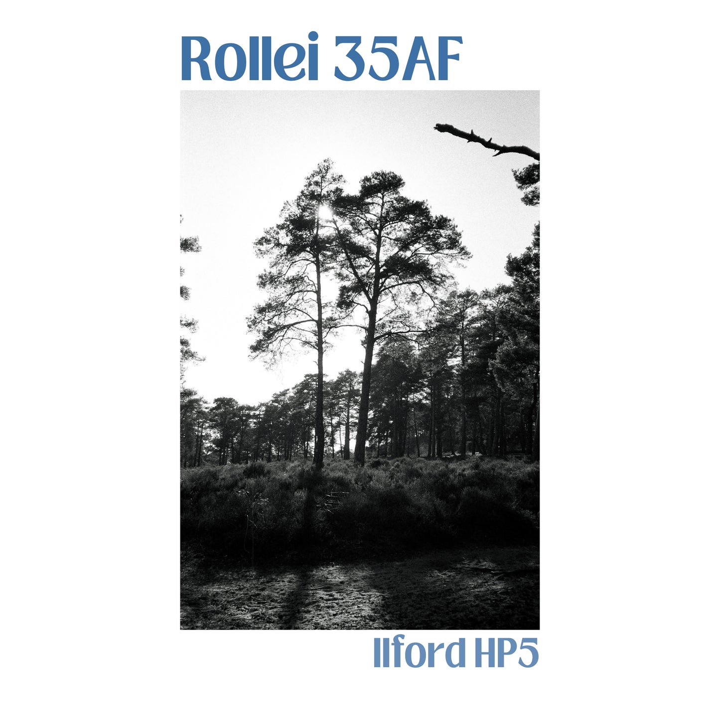Rollei 35AF