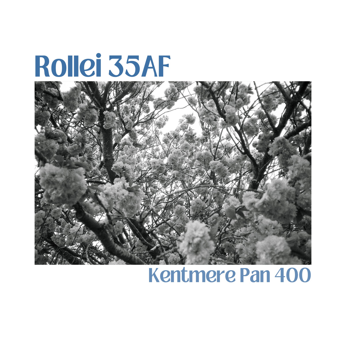Rollei 35AF