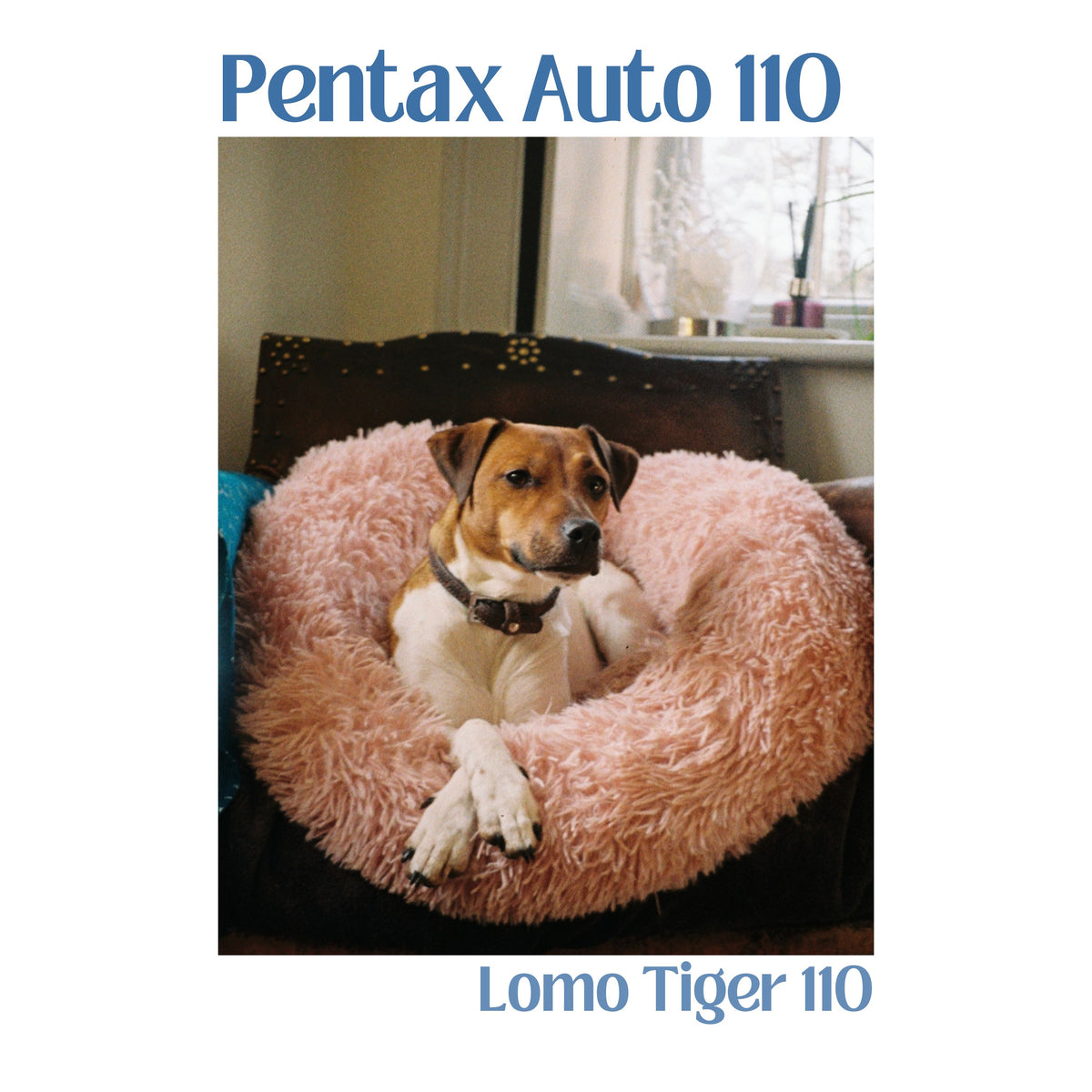 Pentax Auto 110