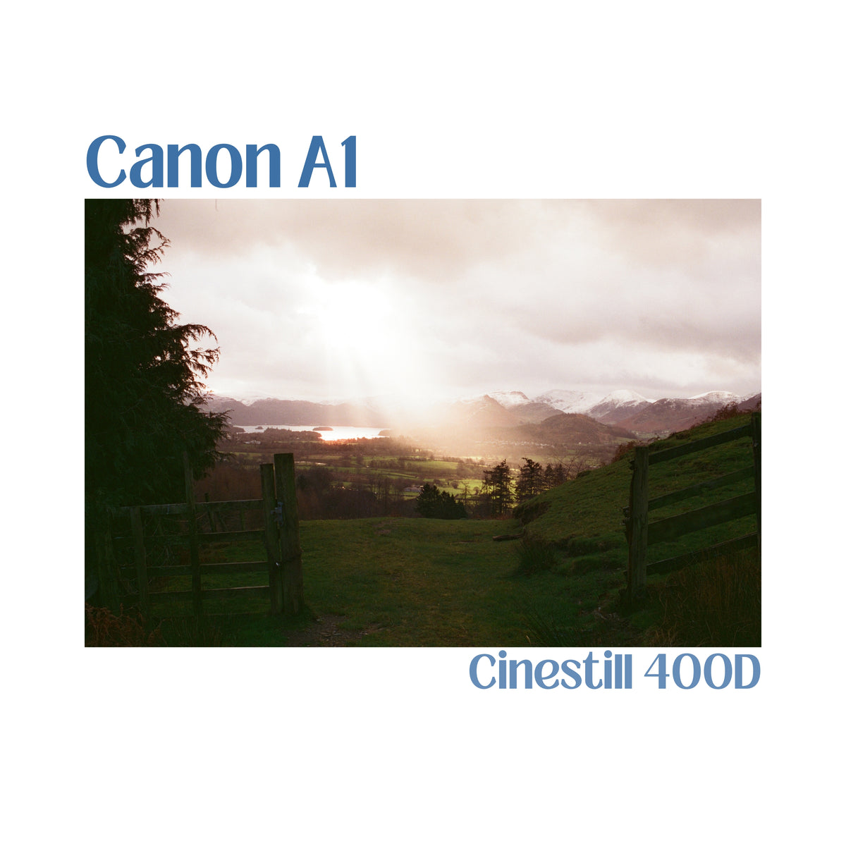 Canon A1