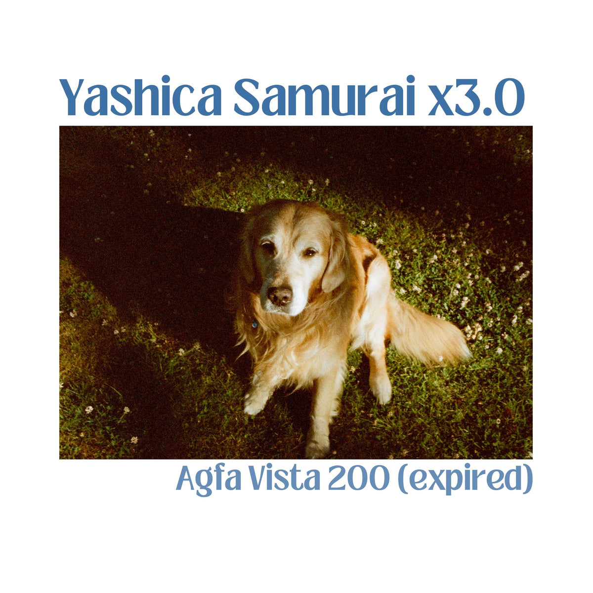 Yashica Samurai x3.0