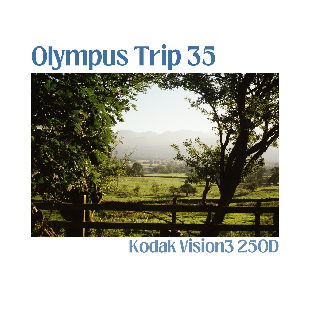 Olympus Trip 35 - Starter Kit