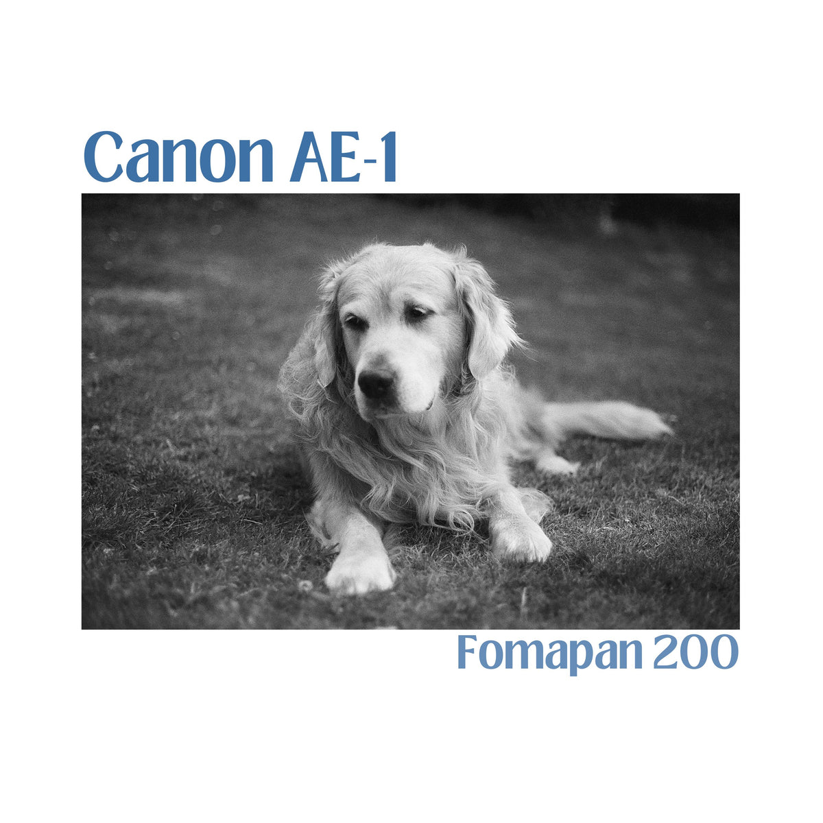 Canon AE-1