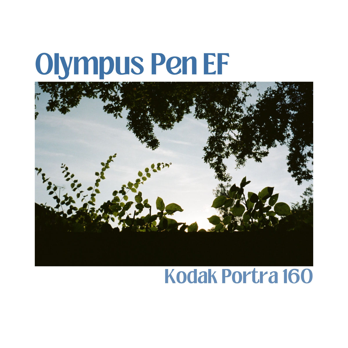 Olympus Pen EF - Olive
