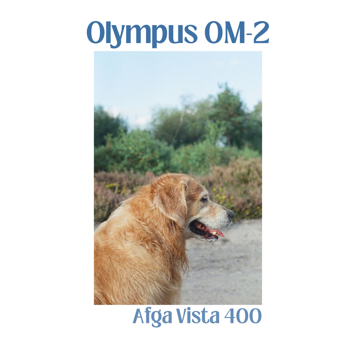 Olympus OM-2n