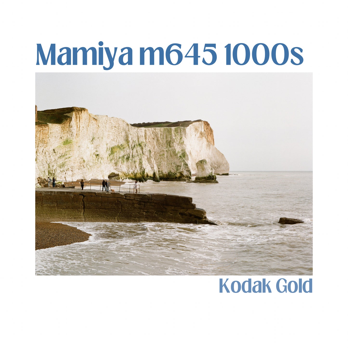 Mamiya m645 1000s