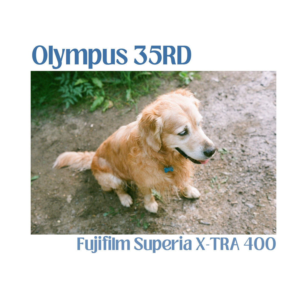 Olympus 35RD - Black