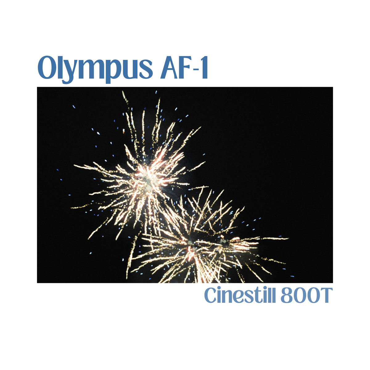 Olympus AF-1