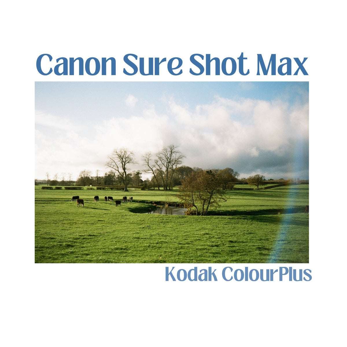 Canon Sure Shot Max