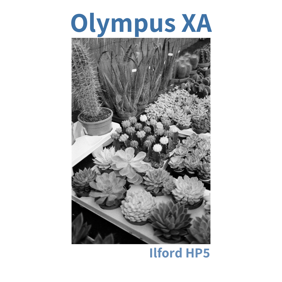 Olympus XA & A11 Flash