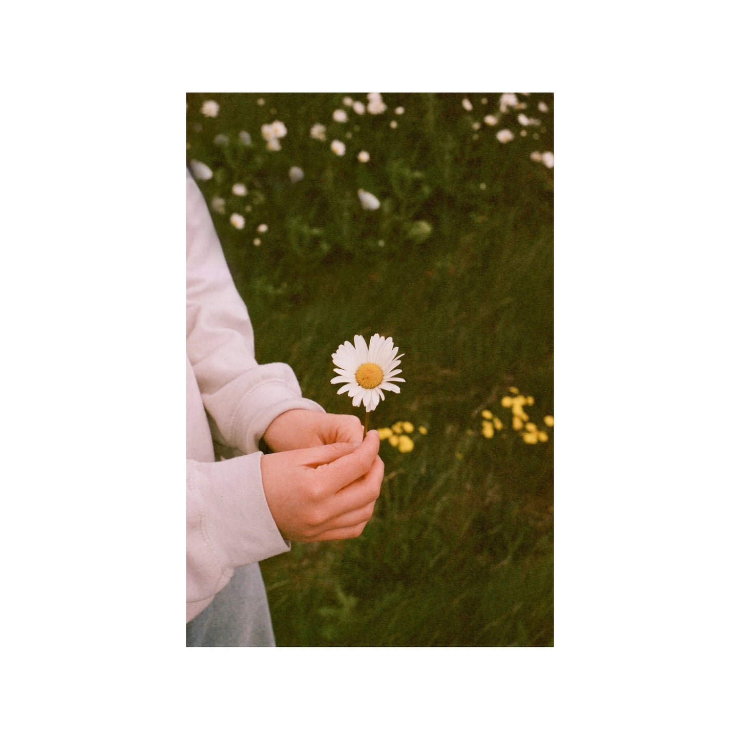 Fujifilm Superia X-Tra 400 (Expired)