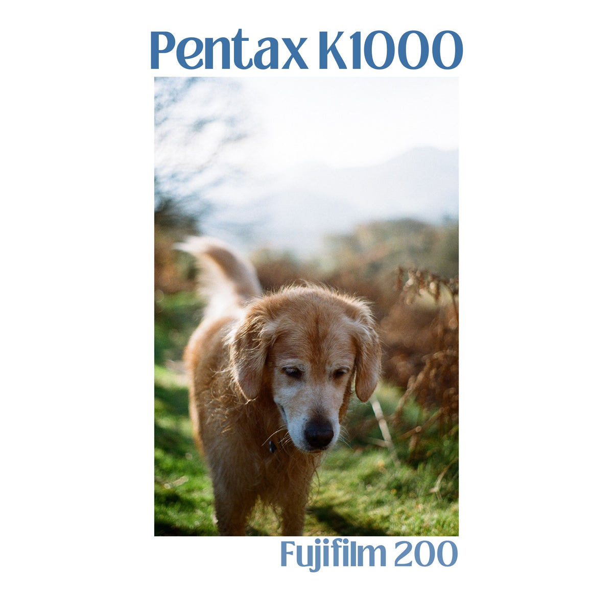 Pentax K1000