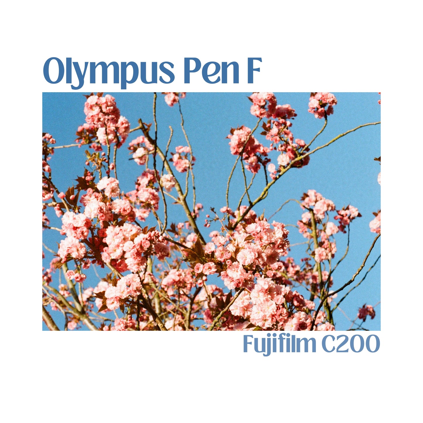 Olympus Pen F
