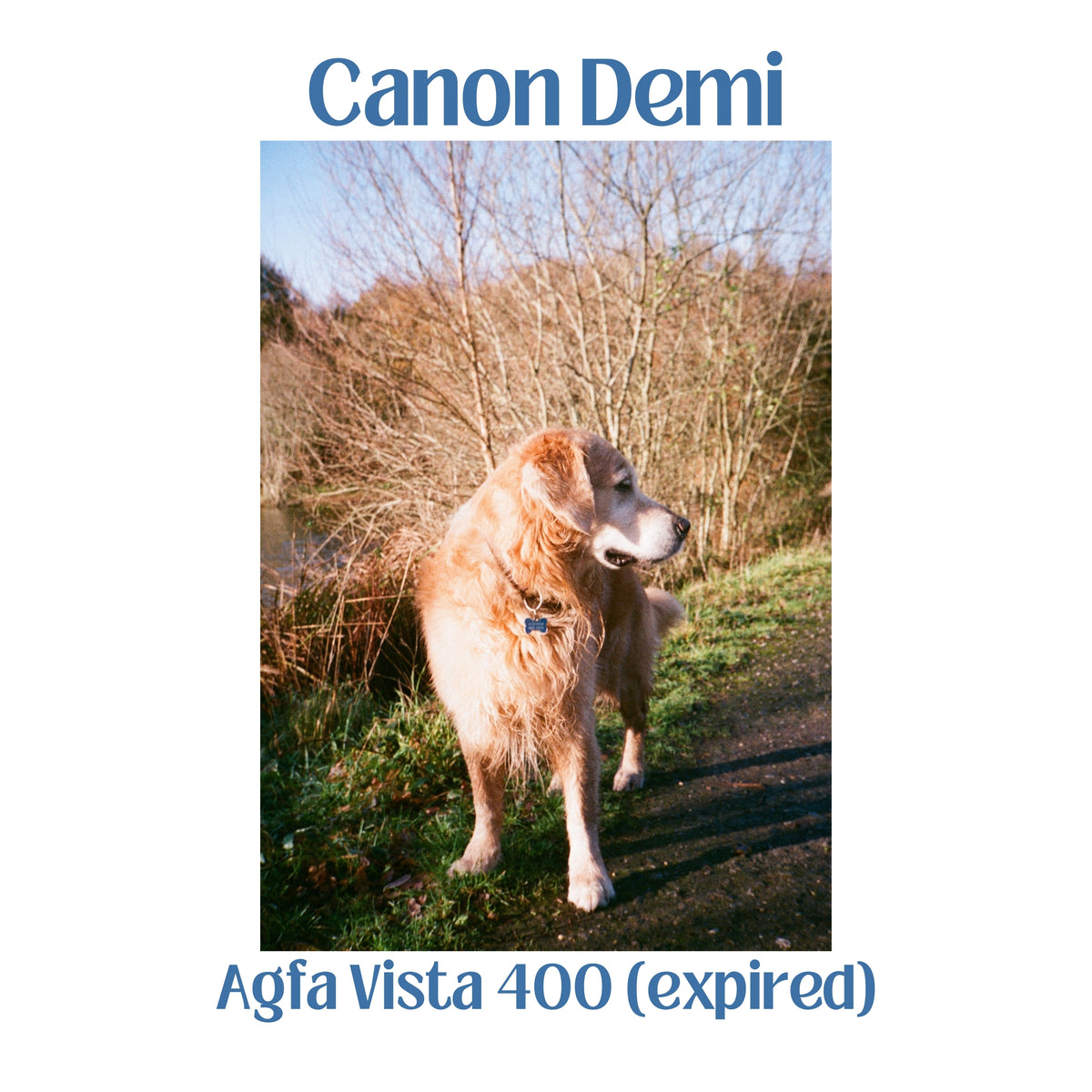 Canon Demi