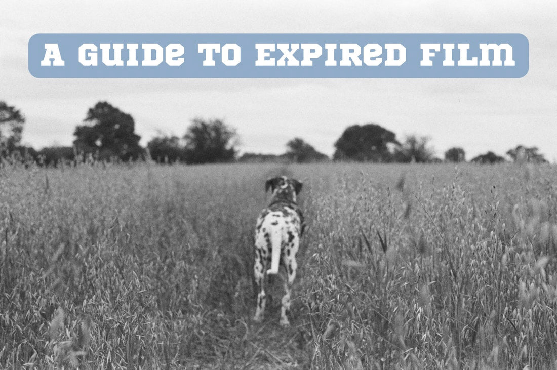 A guide to expired film