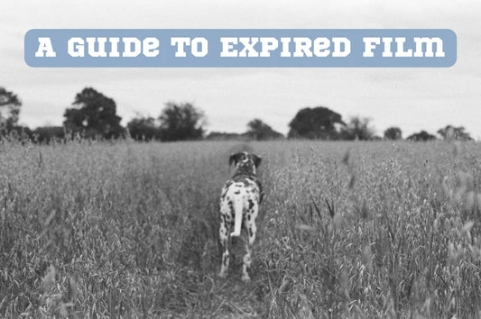 A guide to expired film