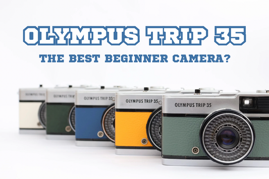 The best beginner camera?