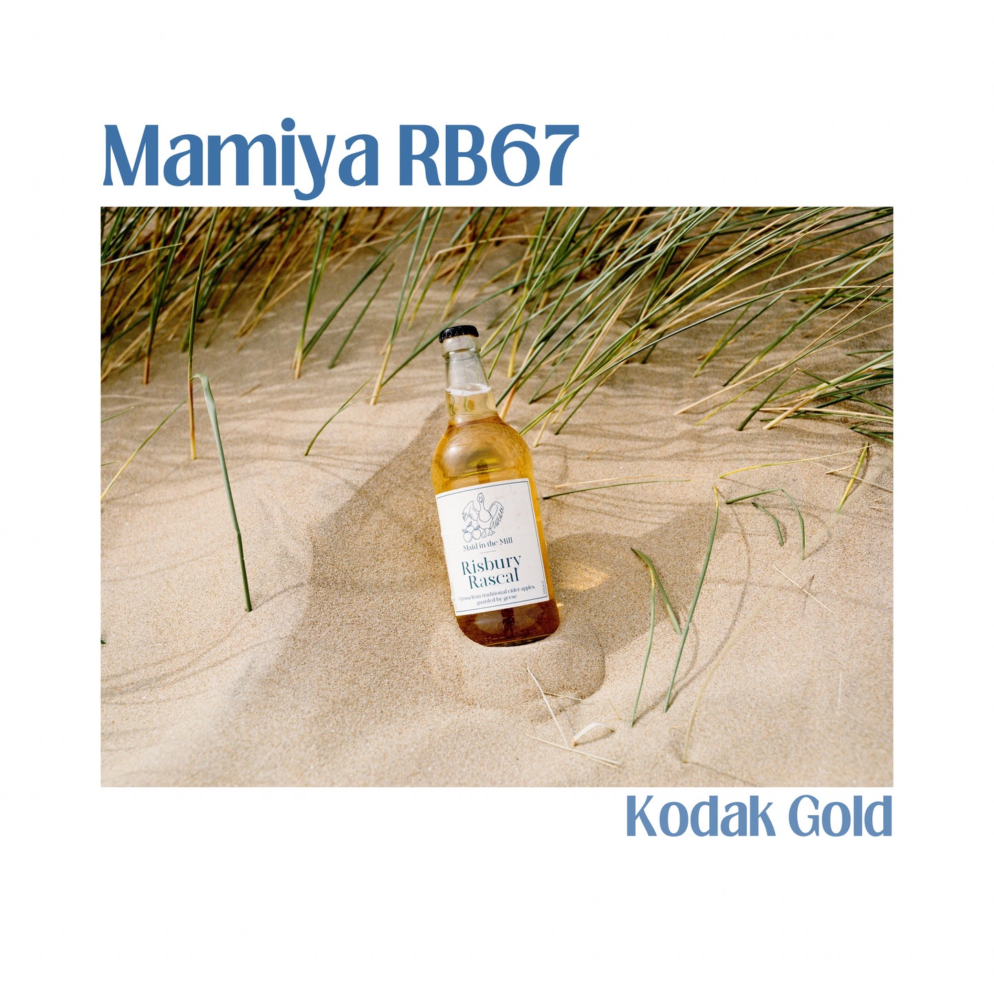 Mamiya RB67 Pro SD with 90mm f3.5 lens