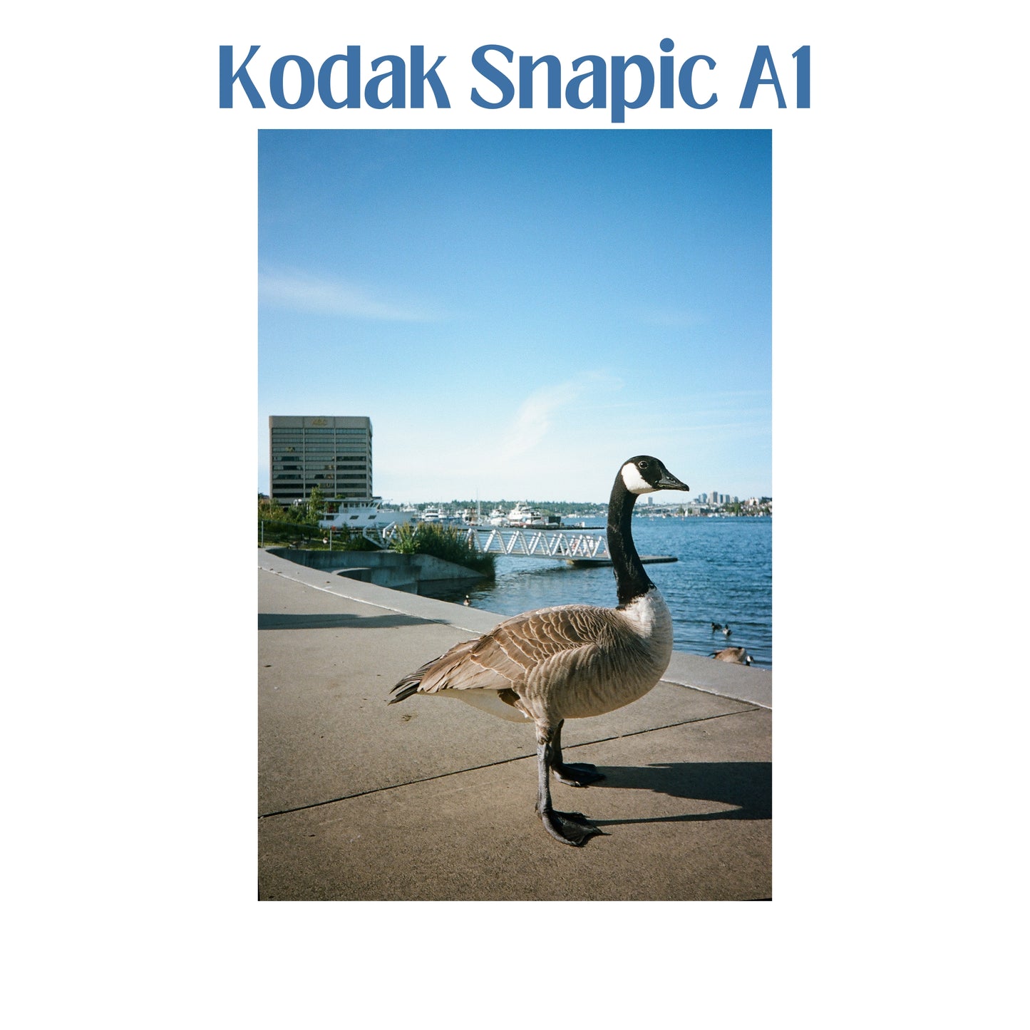 (Pre Order) Kodak Snapic A1