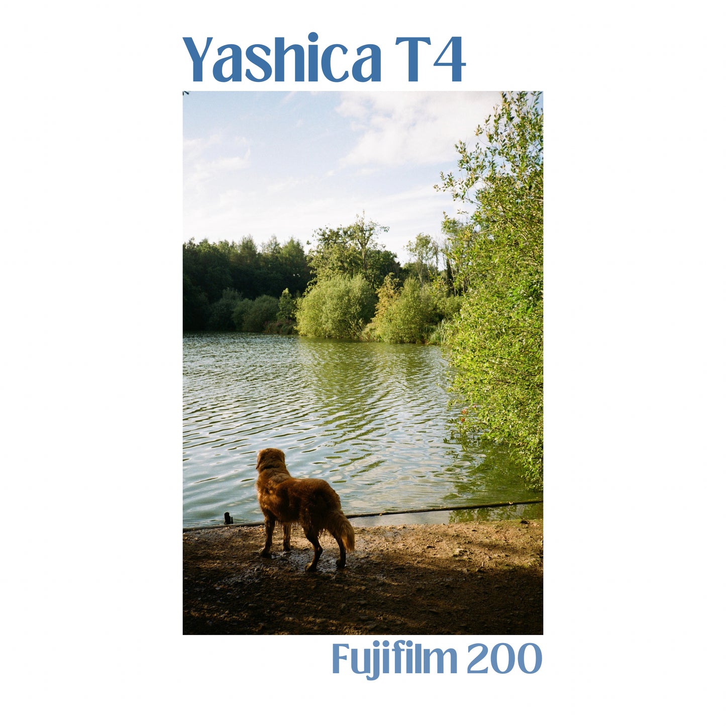 Yashica T4