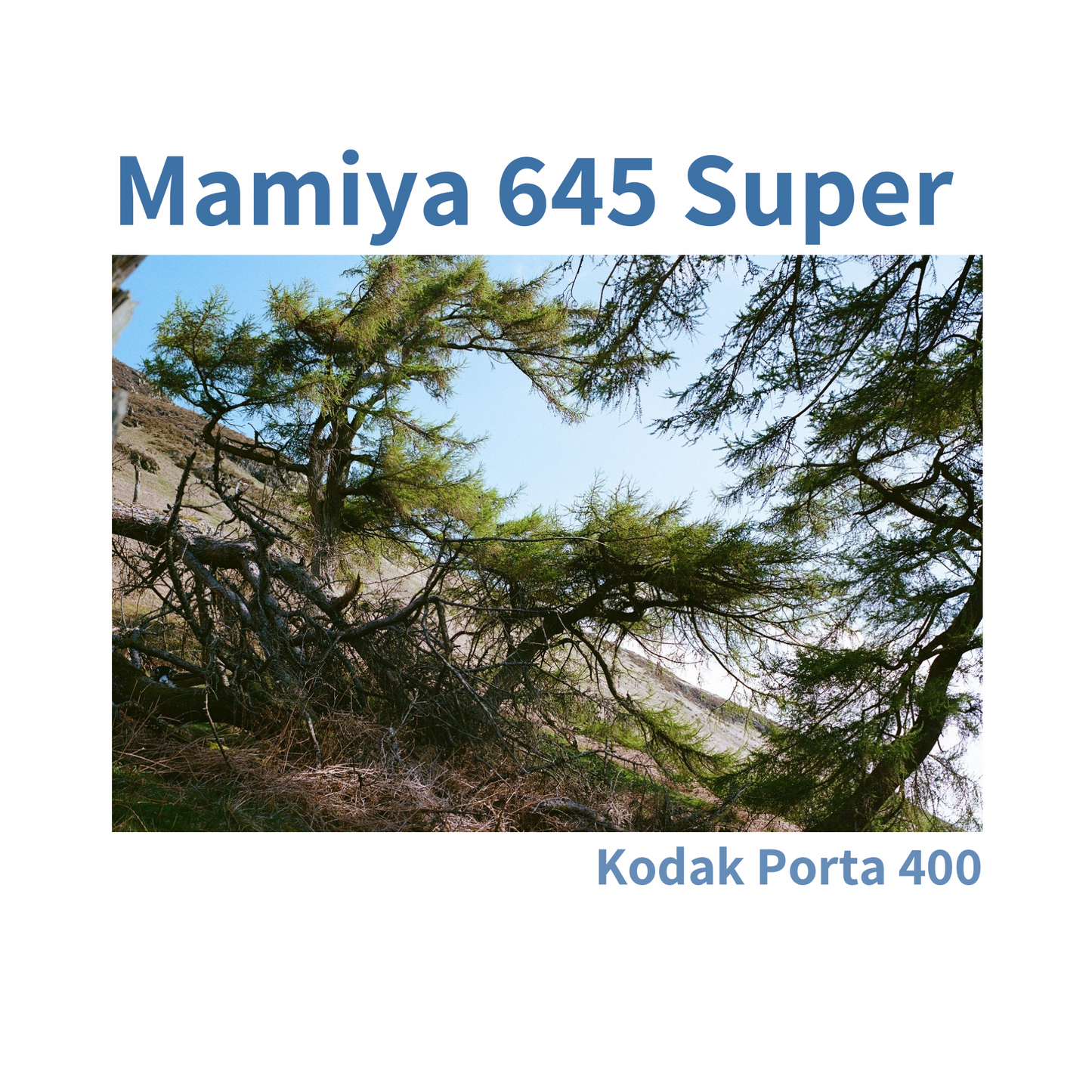 Mamiya m645 Super