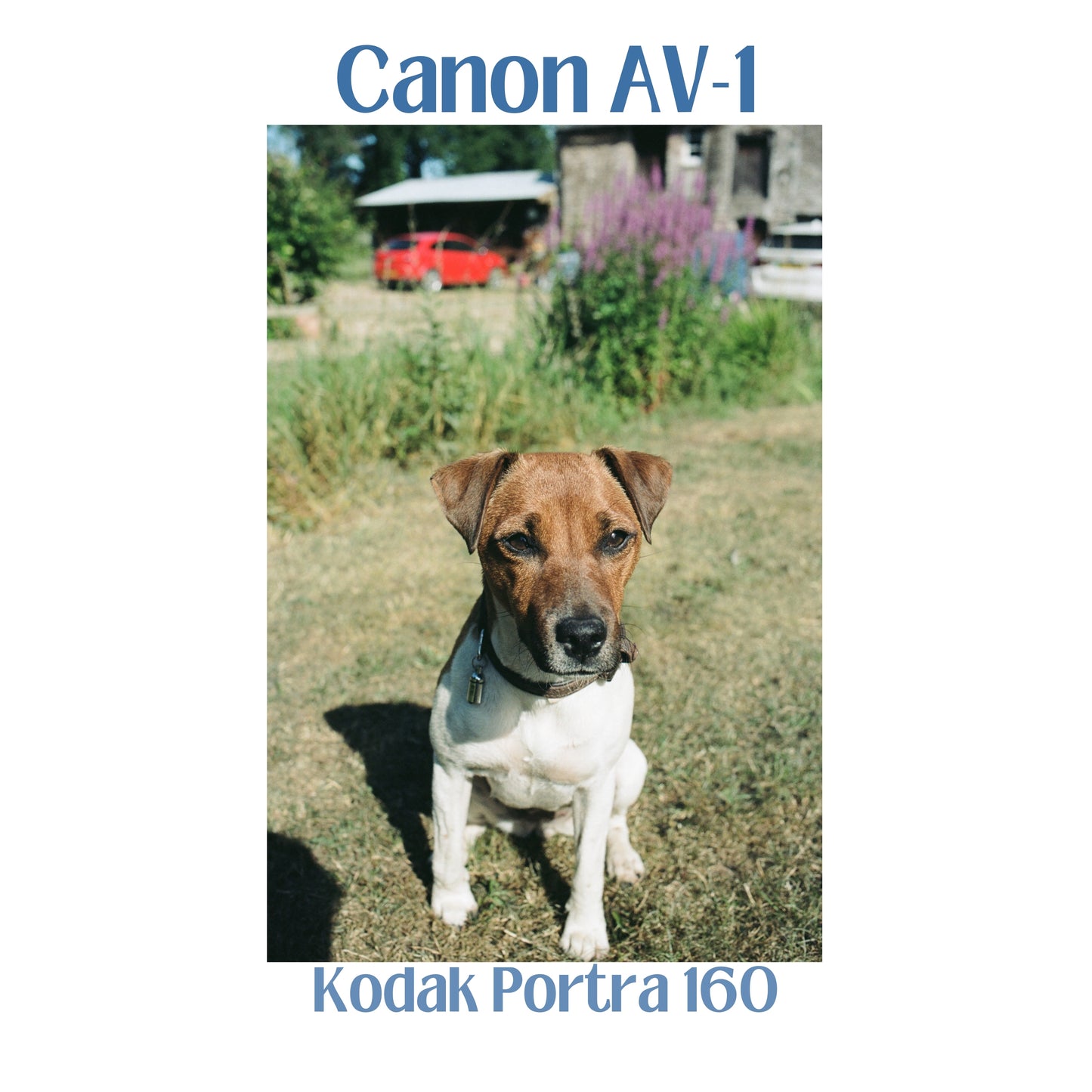 Canon AV-1