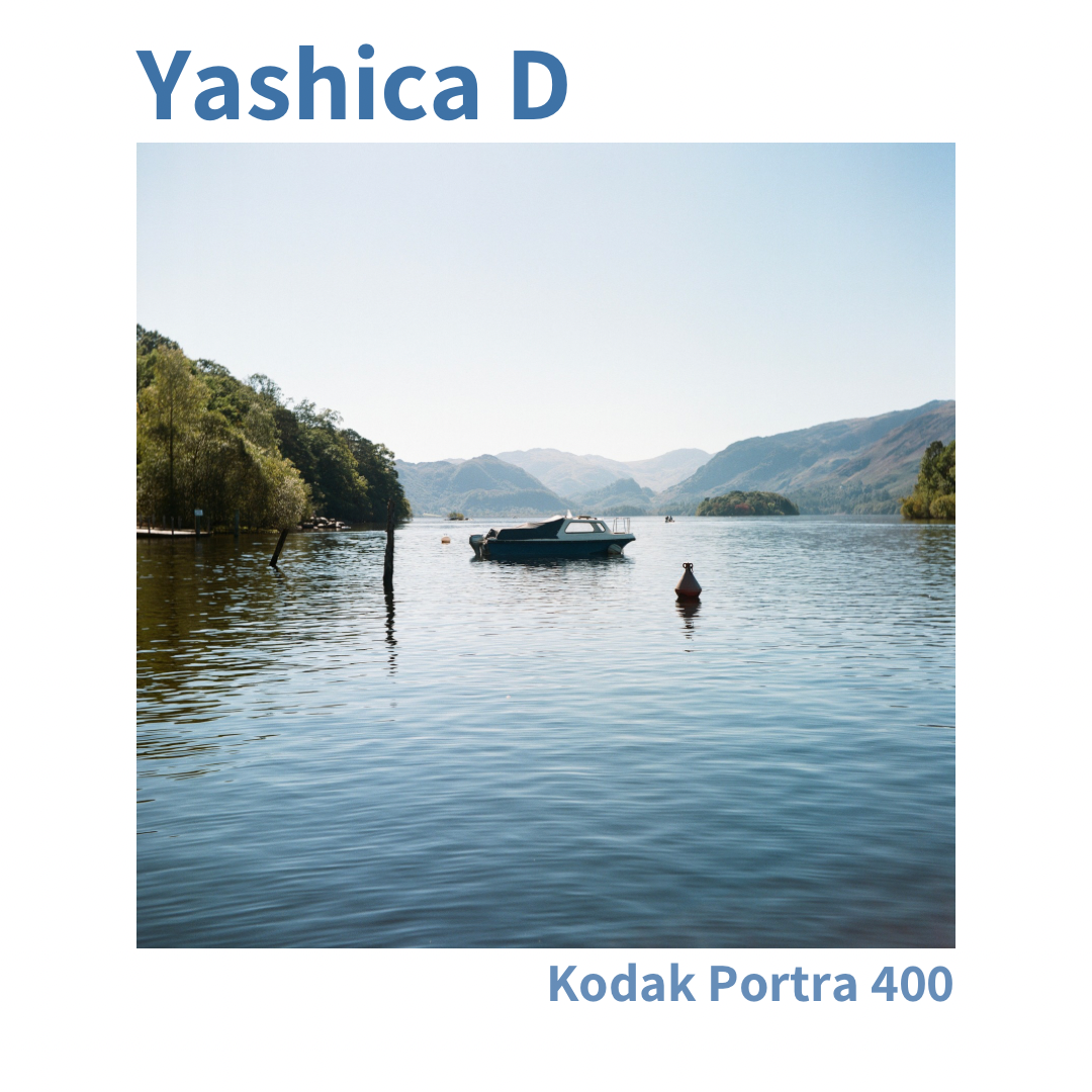 Yashica D