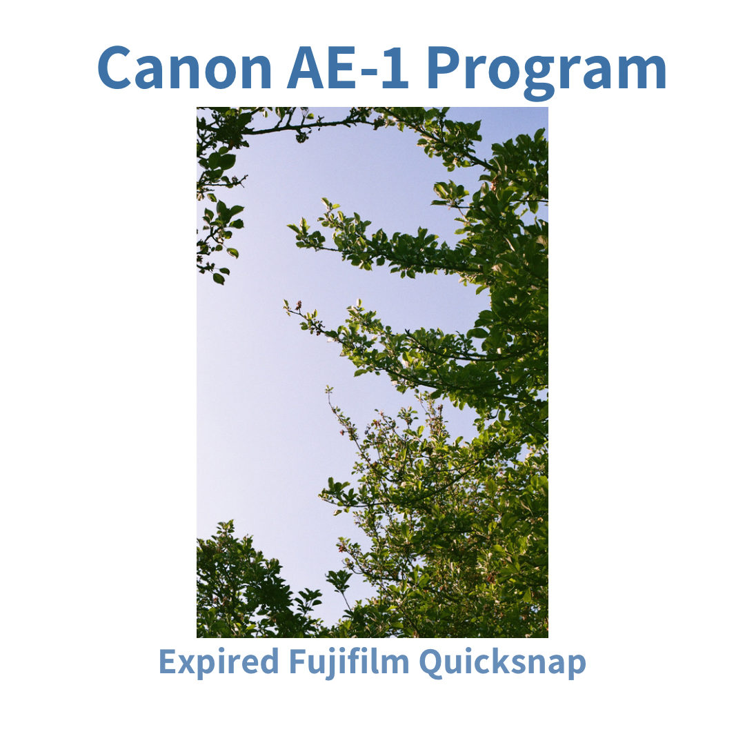 Canon AE-1 Program - Black