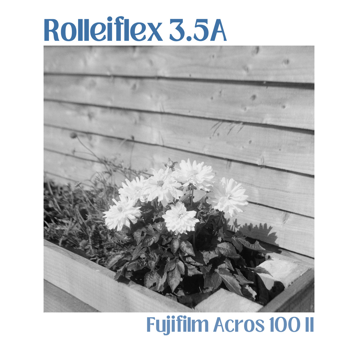 Rolleiflex 3.5 A