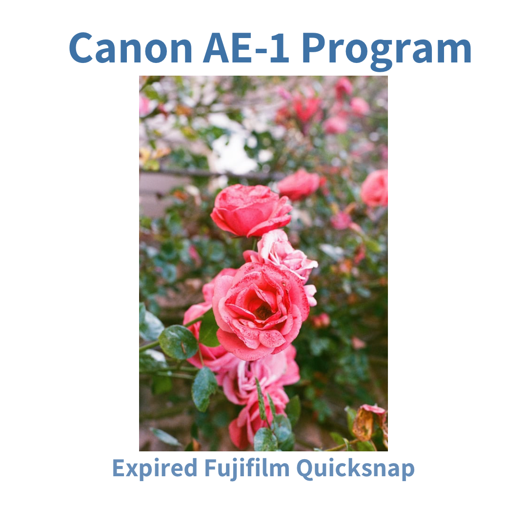 Canon AE-1 Program - Black