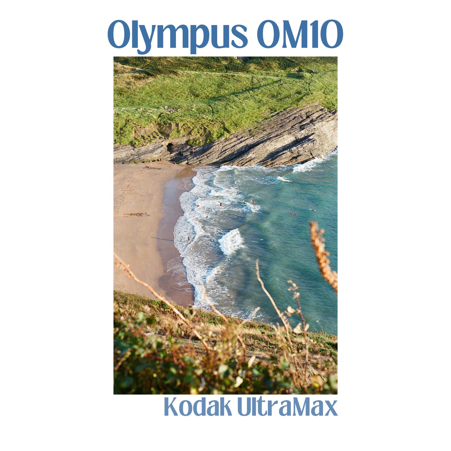 Olympus OM10 - Dark Blue