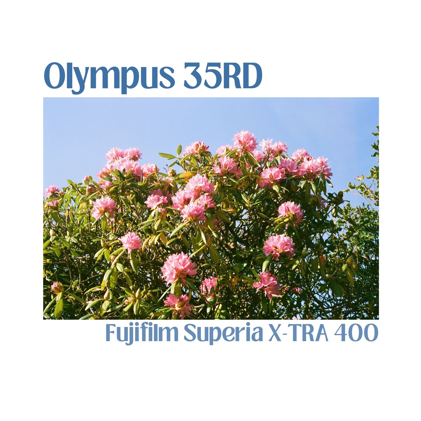 Olympus 35RD - Black