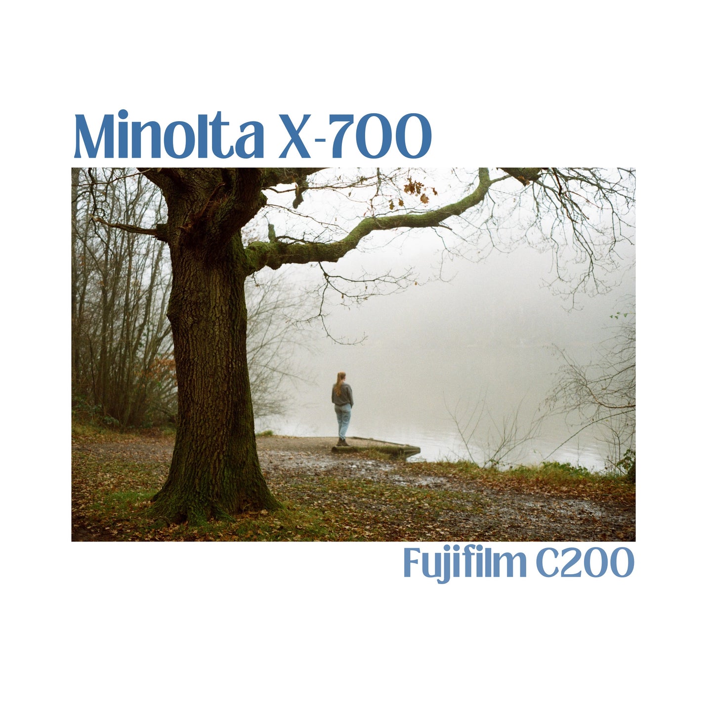 Minolta X-700 with f/1.4 50mm lens